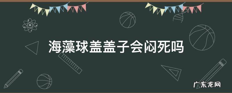 海藻球盖盖子会闷死吗 夏天养海藻球盖不盖子