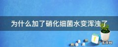 为什么加了硝化细菌水变浑浊了呢 为什么加了硝化细菌水变浑浊了
