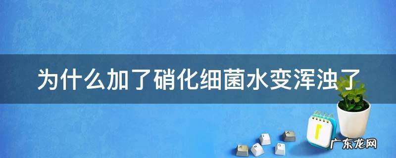 为什么加了硝化细菌水变浑浊了呢 为什么加了硝化细菌水变浑浊了