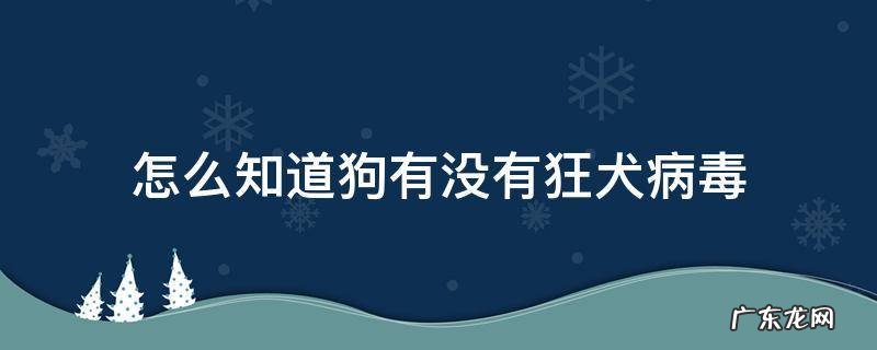 怎么知道狗有没有狂犬病毒 怎样才能知道狗有没有狂犬病毒