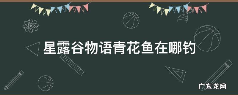 星露谷物语青花鱼在哪钓 星露谷物语河鱼哪里钓