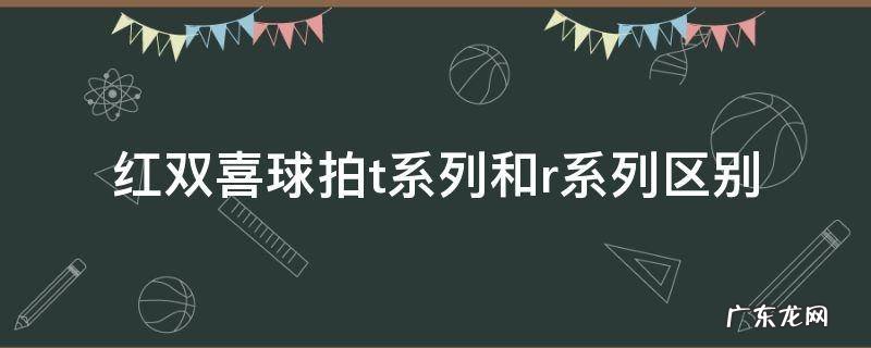 红双喜球拍t系列和r系列区别 红双喜乒乓球拍t系列和r系列有什么区别
