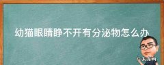 幼猫眼睛睁不开有分泌物怎么办眼球凸出 幼猫眼睛睁不开有分泌物怎么办