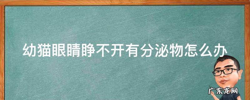幼猫眼睛睁不开有分泌物怎么办眼球凸出 幼猫眼睛睁不开有分泌物怎么办