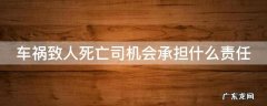 车祸致人死亡司机会承担什么责任
