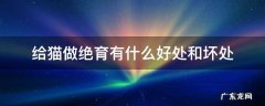 给猫做绝育有什么好处和坏处 给猫做绝育的坏处