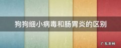 狗狗病毒性肠胃炎是细小吗 狗狗细小病毒和肠胃炎的区别