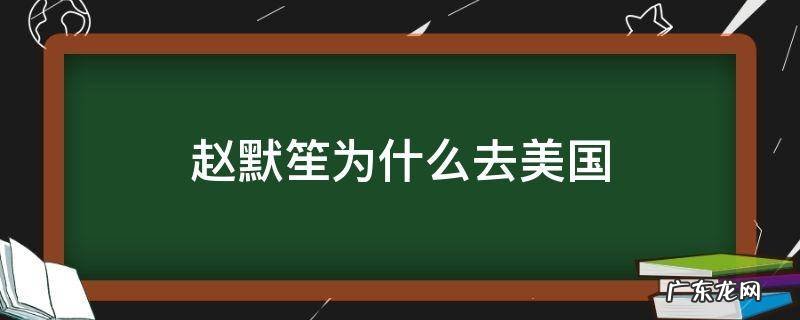 赵默笙为什么去美国 赵默笙为什么去美国不回来