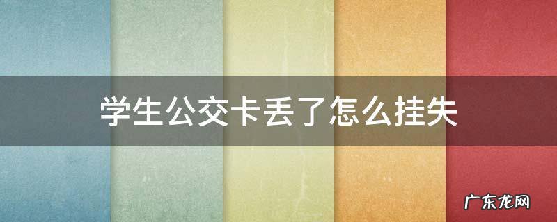 长沙学生公交卡丢了怎么挂失 学生公交卡丢了怎么挂失