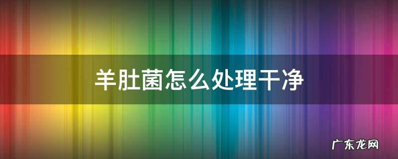 羊肚菌怎么处理干净 羊肚菌怎么清理