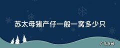 苏太母猪一年产几窝 苏太母猪产仔一般一窝多少只
