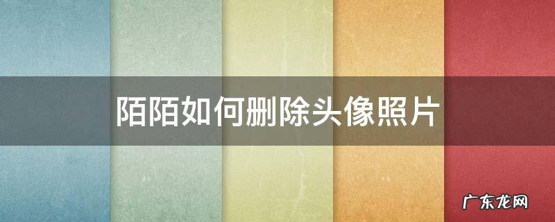 陌陌如何删除头像照片 陌陌怎么删除照片