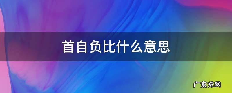 首自负比什么意思 首自负比0.38是什么意思