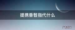 提携、垂髫指代什么 提携垂髫指代什么