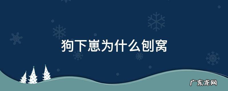 狗狗下崽后总刨是为什么 狗下崽为什么刨窝