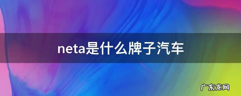 neta是什么牌子汽车图片 neta是什么牌子汽车