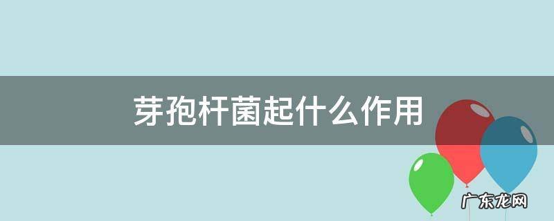芽孢杆菌起什么作用 芽孢杆菌对人体的作用
