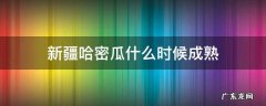 新疆哈密瓜成熟季节 新疆哈密瓜什么时候成熟