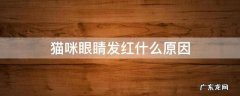 猫咪眼睛很红是怎么回事 猫咪眼睛发红什么原因
