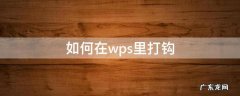 wps文字打钩怎么办 如何在wps里打钩