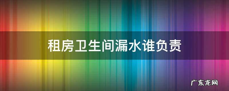 租房卫生间漏水房东负责吗 租房卫生间漏水谁负责