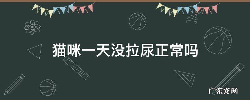 猫咪一天没拉尿正常吗 猫咪一天没拉尿正常吗发情期