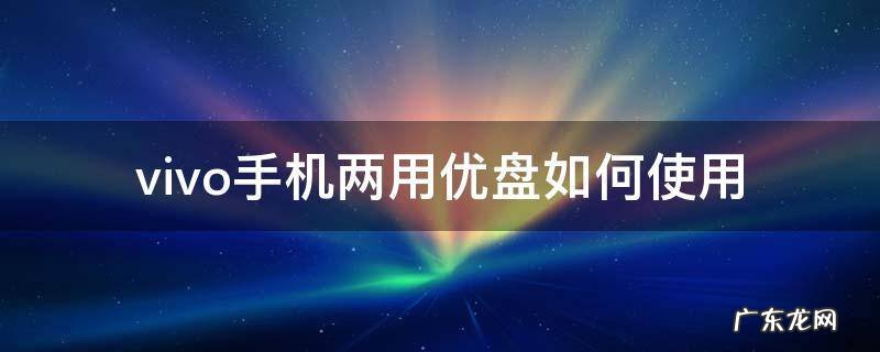 vivo手机两用u盘怎么用 vivo手机两用优盘如何使用