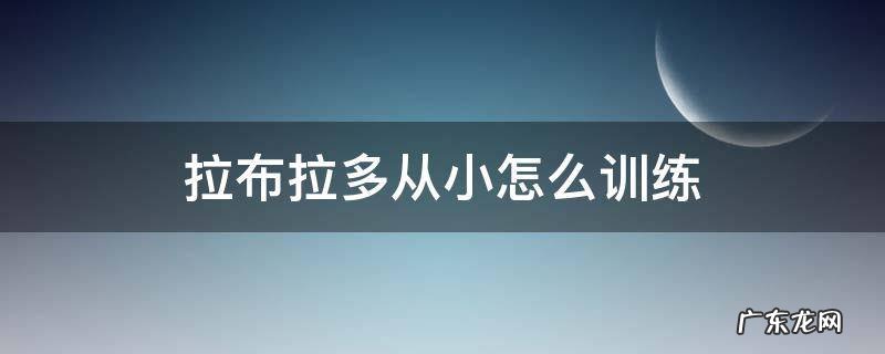 拉布拉多从小怎么训练 拉布拉多应该怎么训练