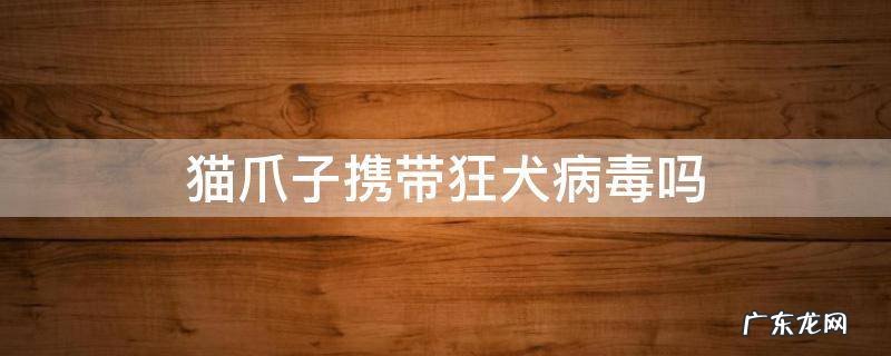 家猫爪子带狂犬病毒吗 猫爪子携带狂犬病毒吗