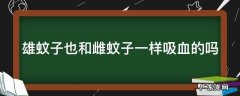 雄蚊子也和雌蚊子一样吸血的吗 雄蚊子也和雌蚊子一样吸血的吗图片