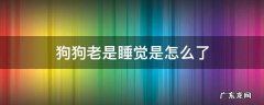 狗狗老睡觉咋回事 狗狗老是睡觉是怎么了