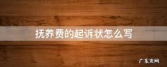 抚养费的起诉状怎么写 抚养费民事诉讼怎样写诉状