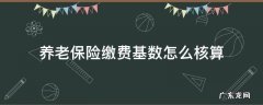 基本养老保险缴费基数怎么计算 养老保险缴费基数怎么核算