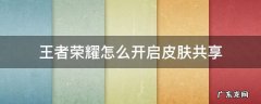 王者荣耀在哪里开启皮肤共享 王者荣耀怎么开启皮肤共享