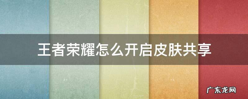 王者荣耀在哪里开启皮肤共享 王者荣耀怎么开启皮肤共享
