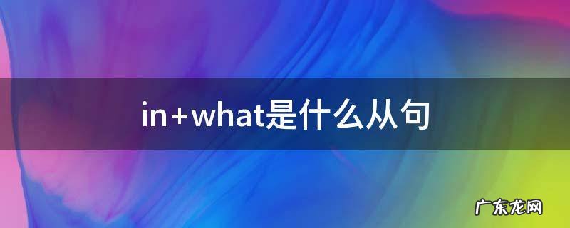 in what是什么从句
