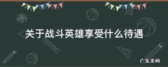 关于战斗英雄享受什么待遇 战斗英雄的待遇