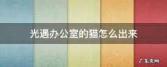 光遇办公室会飞的猫在哪 光遇办公室的猫怎么出来