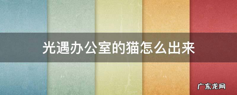 光遇办公室会飞的猫在哪 光遇办公室的猫怎么出来