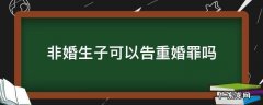 有非婚生子女算重婚吗 非婚生子可以告重婚罪吗