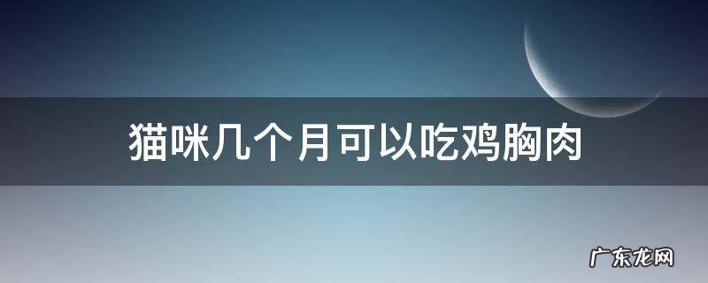 猫咪几个月可以吃鸡胸肉 猫咪几个月可以吃鸡胸肉吗