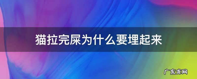 猫拉完屎为什么要埋起来 猫拉屎后为什么要埋起来