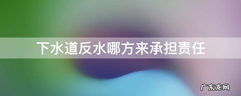 下水道反水哪方来承担责任 下水道反水谁的责任