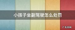 小孩子坐副驾驶怎么处罚2020 小孩子坐副驾驶怎么处罚