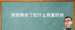 狗狗骨折后吃什么恢复快 狗狗骨折了吃什么恢复的快