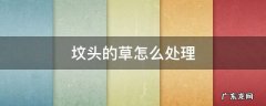 坟头长草怎么处理 坟头的草怎么处理