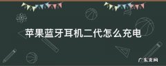 苹果蓝牙耳机二代怎么充电 苹果蓝牙耳机二代怎么充电仓充电