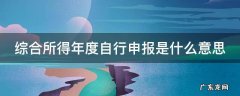 综合所得年度自行申报是什么意思 赡养老人综合所得年度自行申报是什么意思