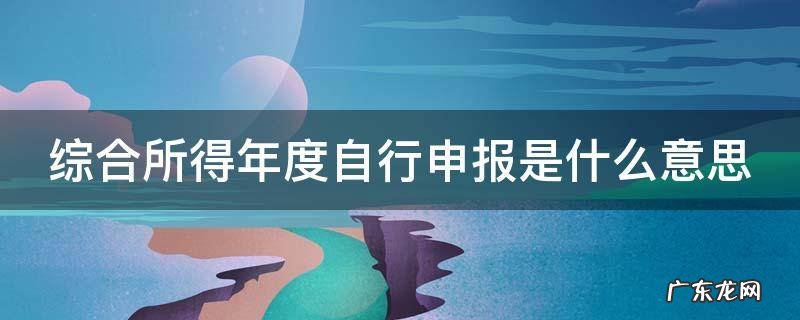 综合所得年度自行申报是什么意思 赡养老人综合所得年度自行申报是什么意思