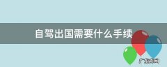 自驾出国需要什么手续 自驾出国旅游需要什么手续